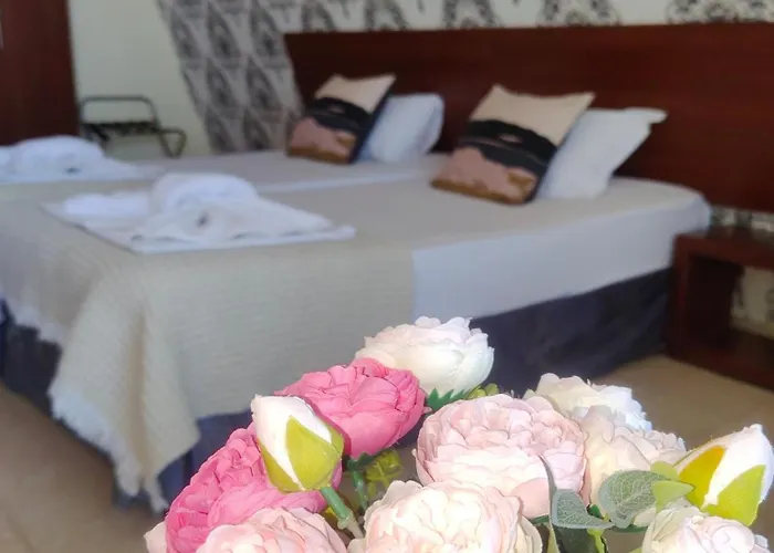 Moreno 3* Σωζόπολη